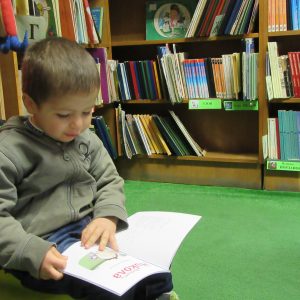 Стая на приказките