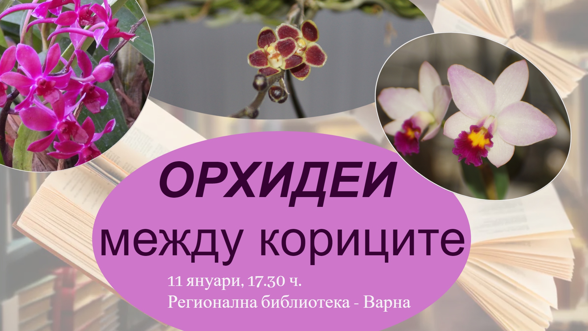 Изложба “Орхидеи между кориците”